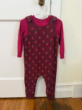 Hanna Andersson Burgundy Floral Romper with Undershirt